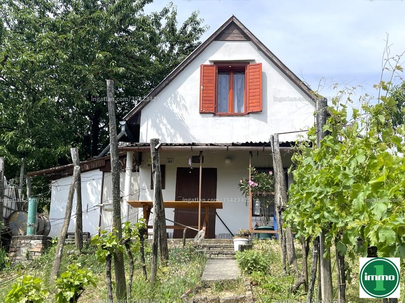 Ingatlan kép