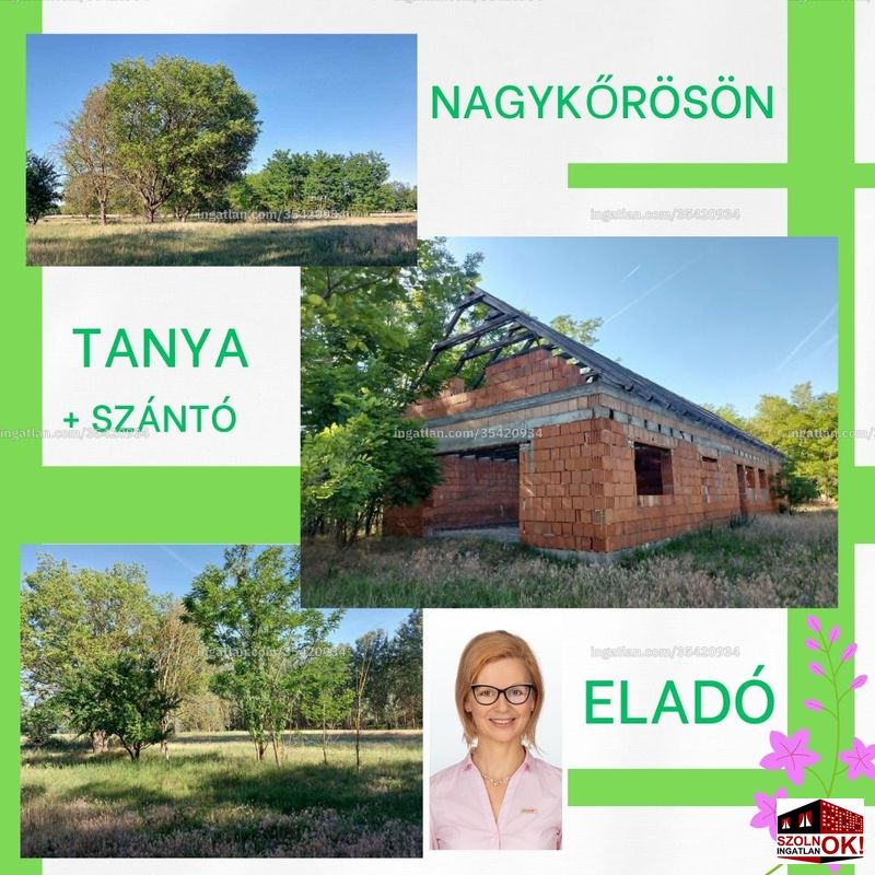 Kép az ingatlanról