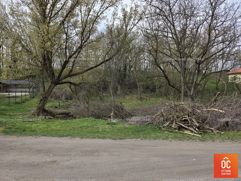Hirdetés fotója