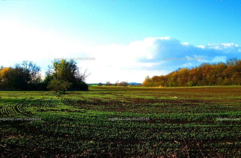 Foto auflisten