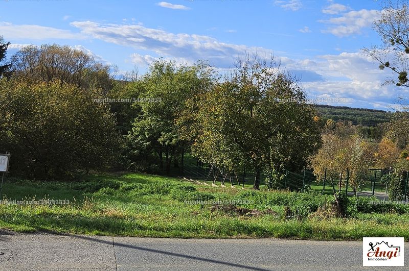 Foto auflisten