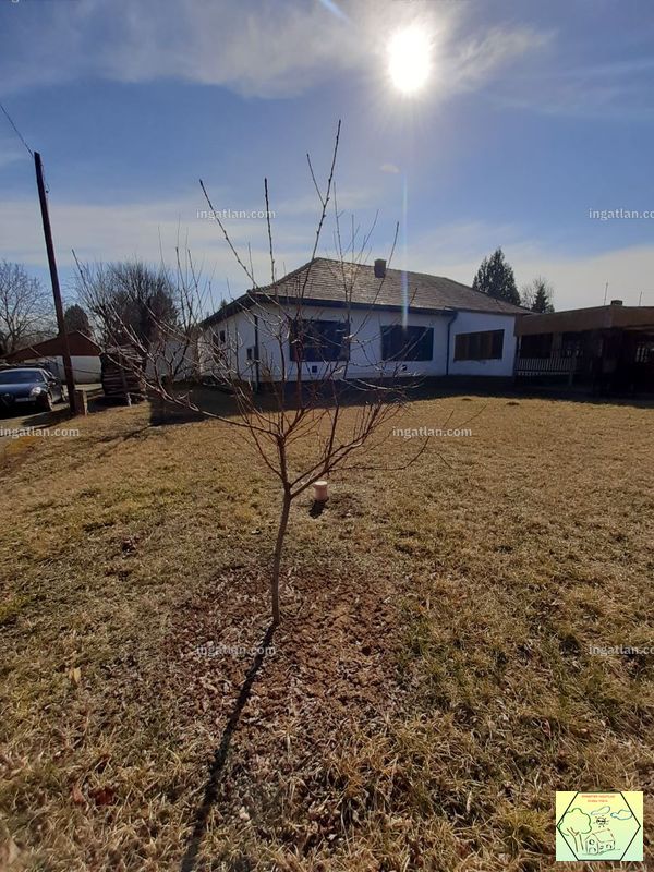 Ingatlan kép
