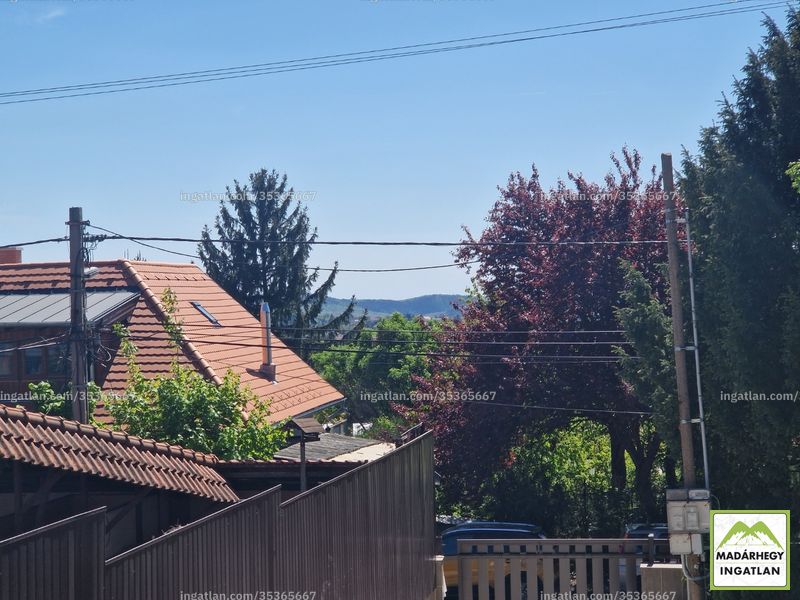 Hirdetés fotója