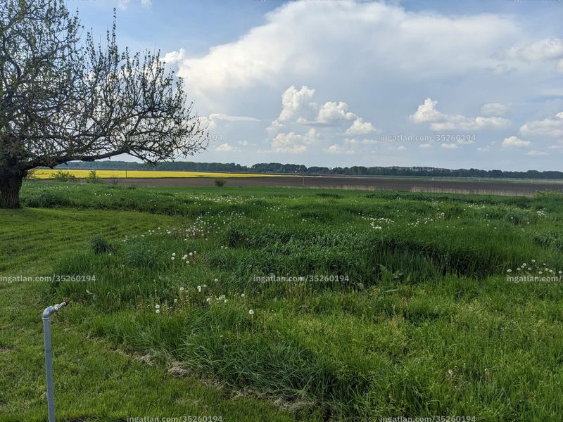 Foto auflisten