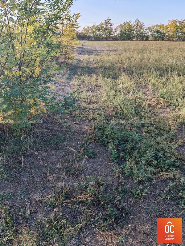 az épület kívülről