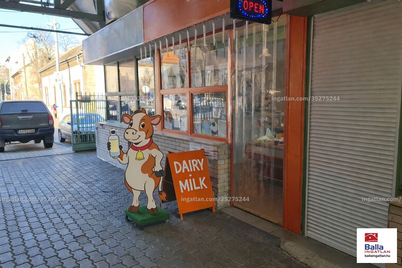 Kép az ingatlanról