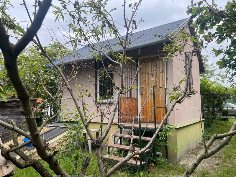 Listing photo