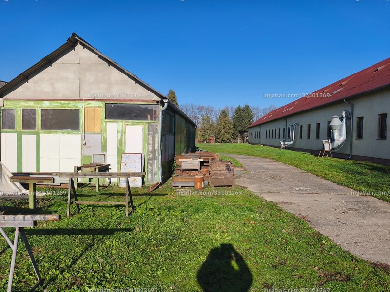 Foto auflisten