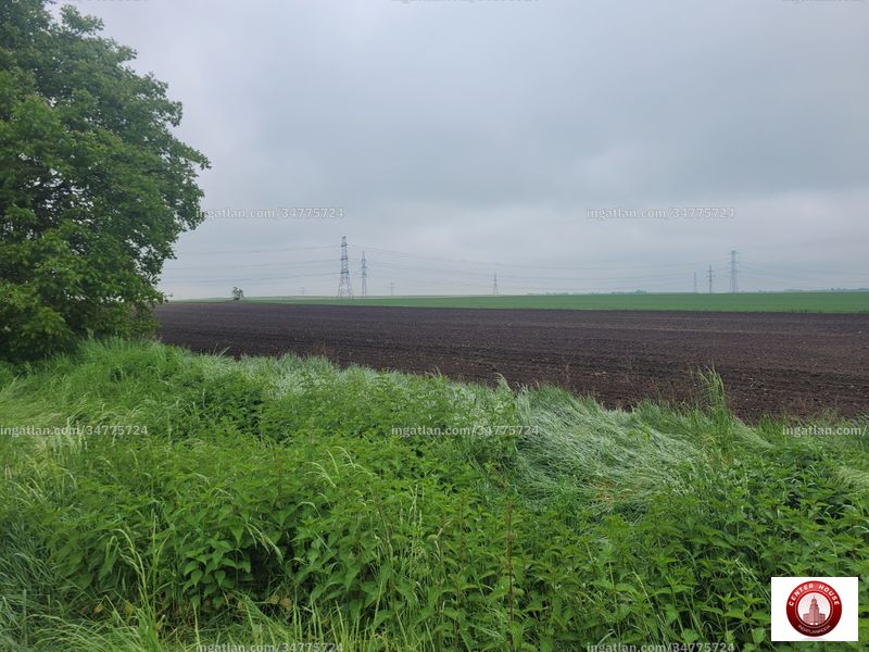 Foto auflisten