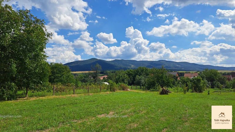Bild über die Immobilie