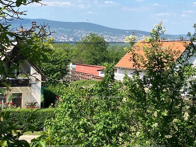 Hirdetés fotója