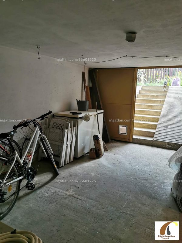 cellar