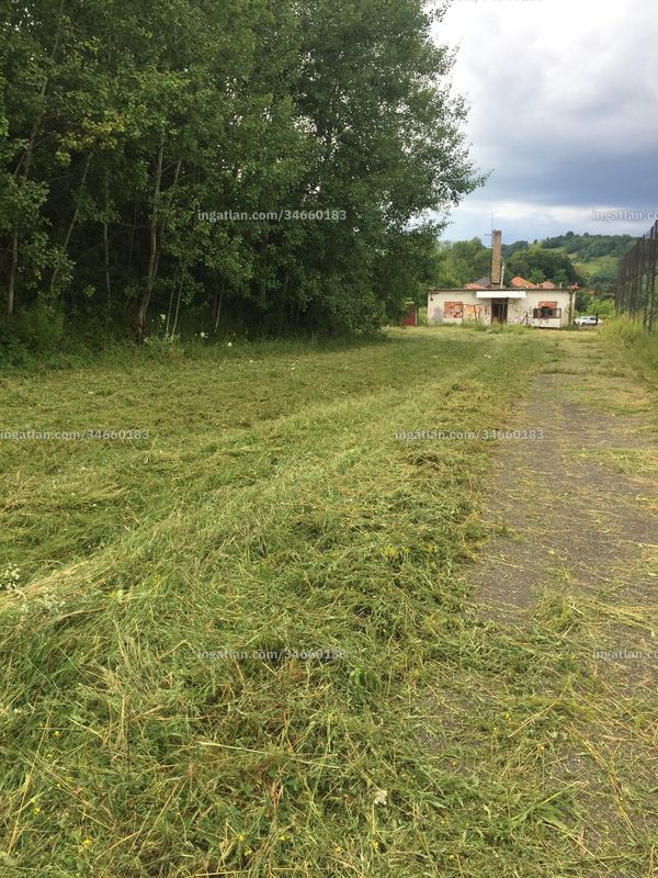 Kép az ingatlanról