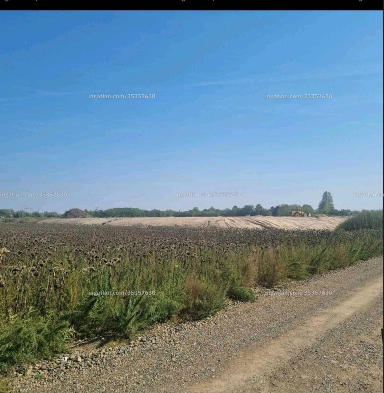 Foto auflisten