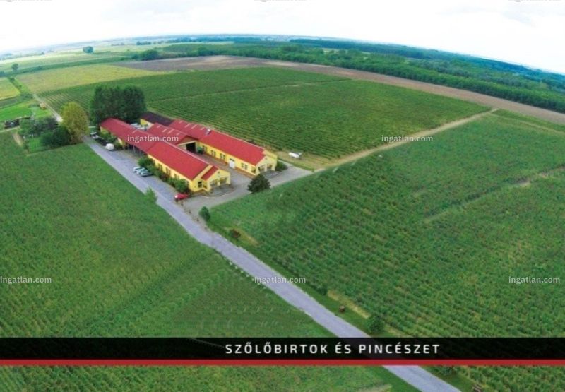 Kép az ingatlanról