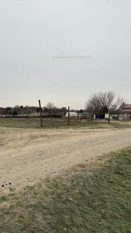 Foto auflisten