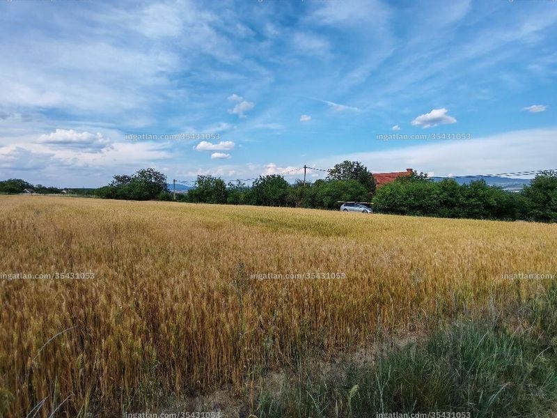Foto auflisten