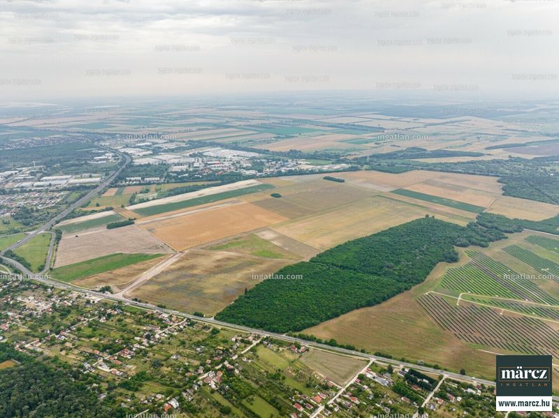 Foto auflisten