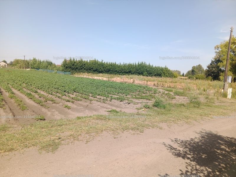 Foto auflisten