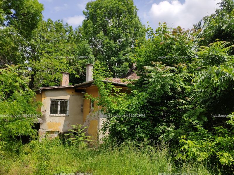 Ingatlan kép