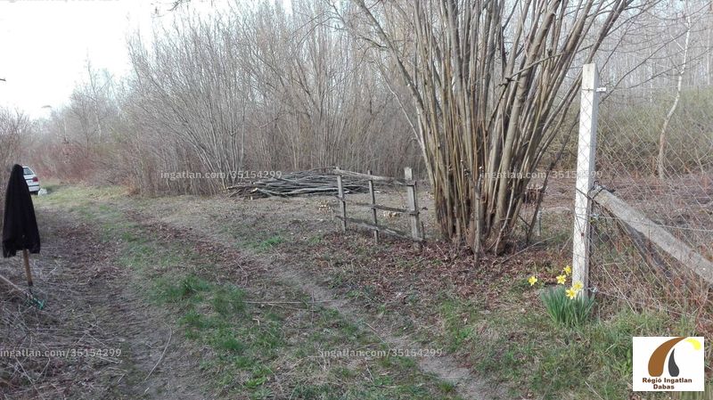 Foto auflisten