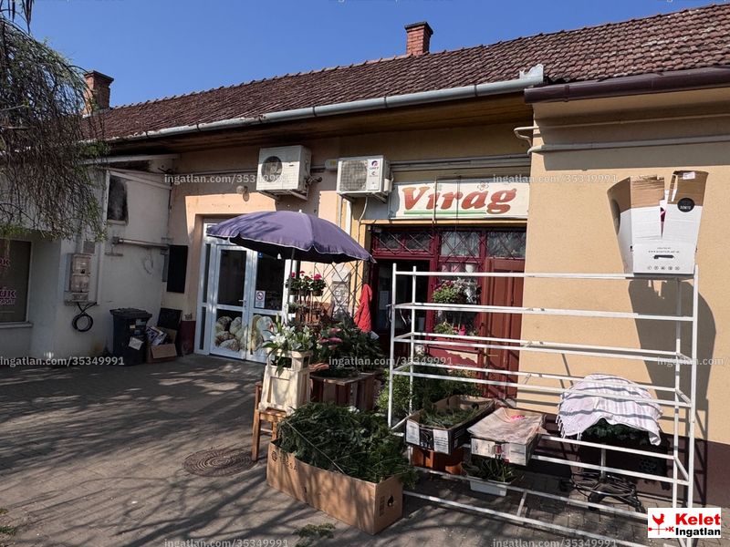 Kép az ingatlanról
