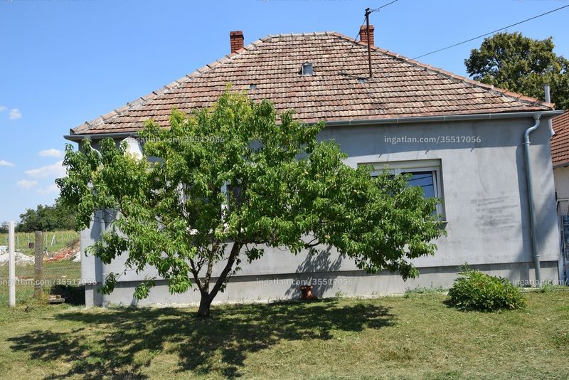 Ingatlan kép