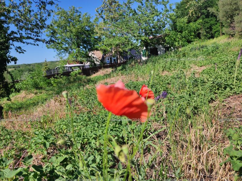 Foto auflisten