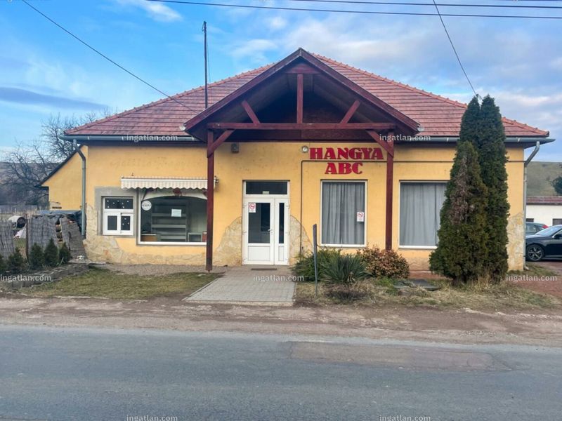 Ingatlan kép