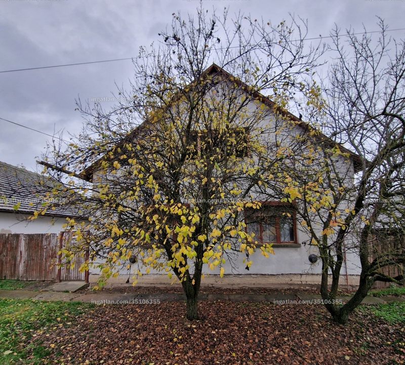 Hirdetés fotója