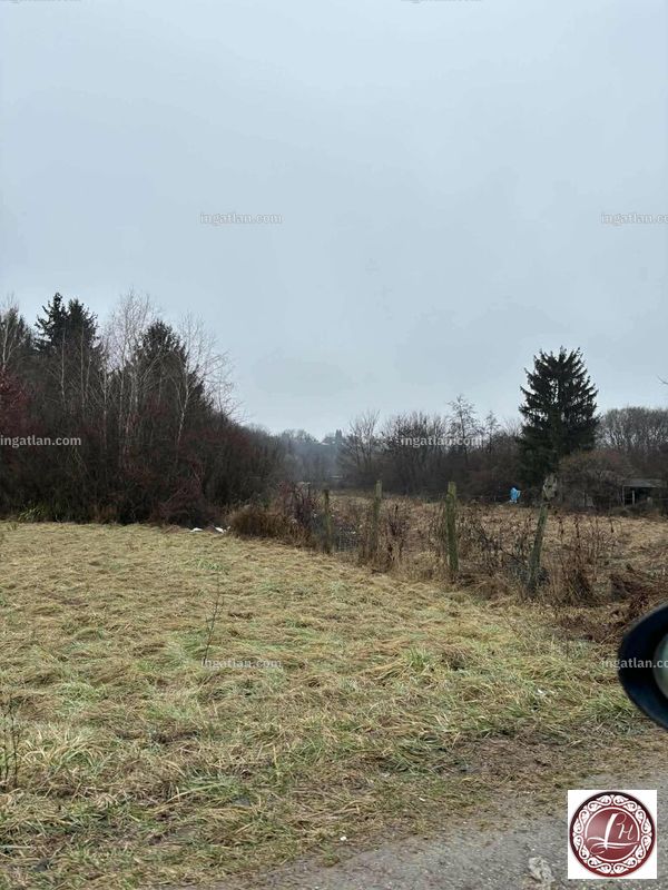 Foto auflisten