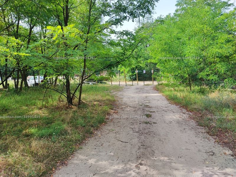 Eingang