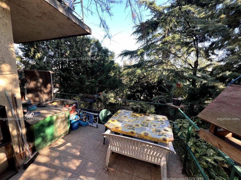 terrace