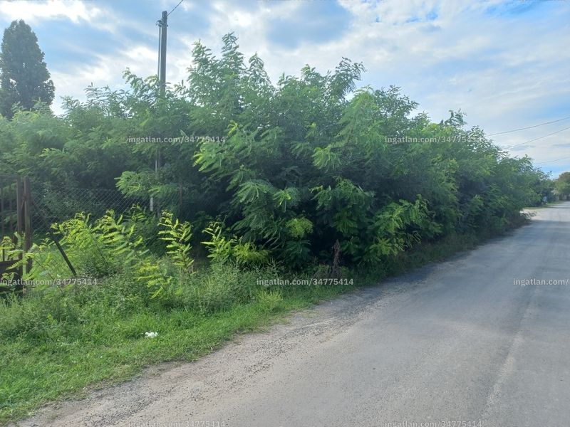 Foto auflisten