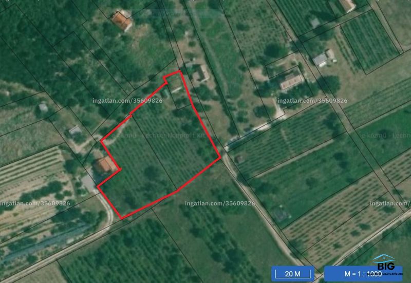 Kép az ingatlanról