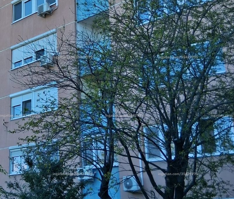 Ingatlan kép