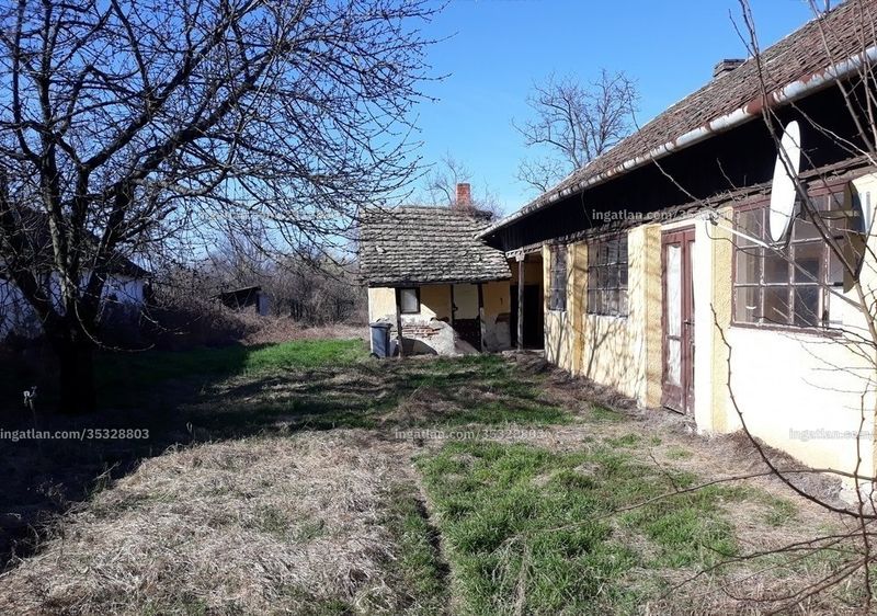 Kép az ingatlanról
