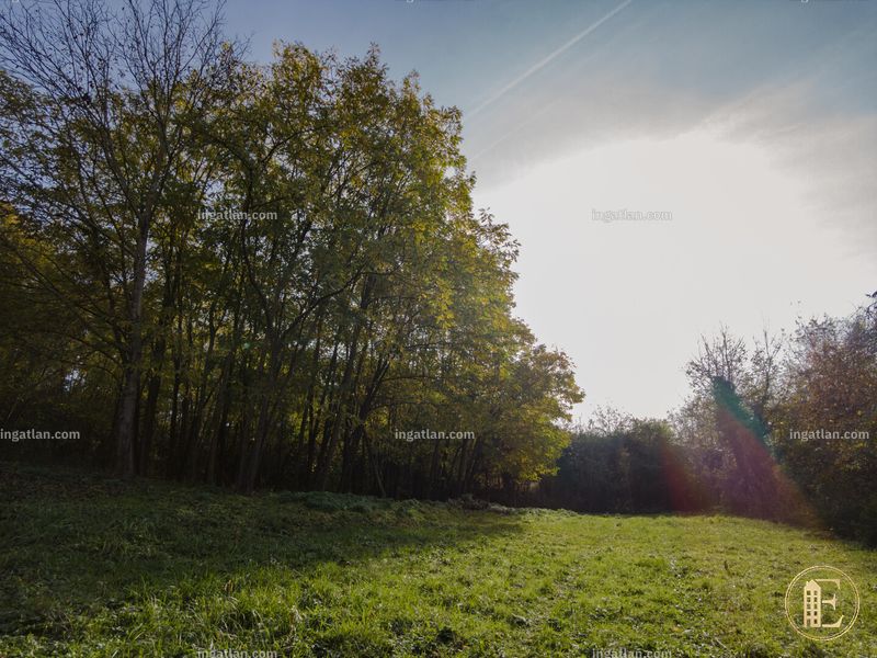 Foto auflisten