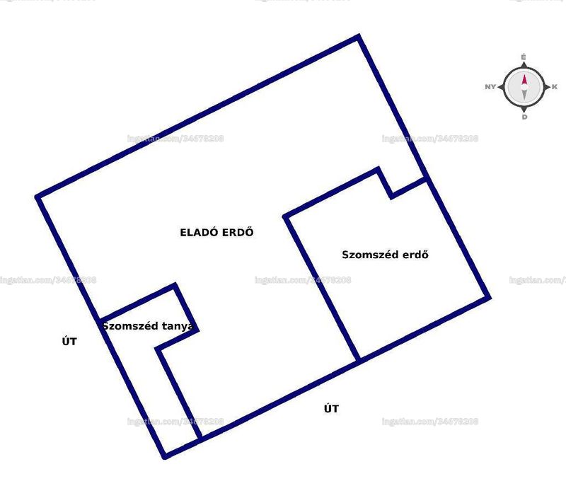 Picture of the real estate