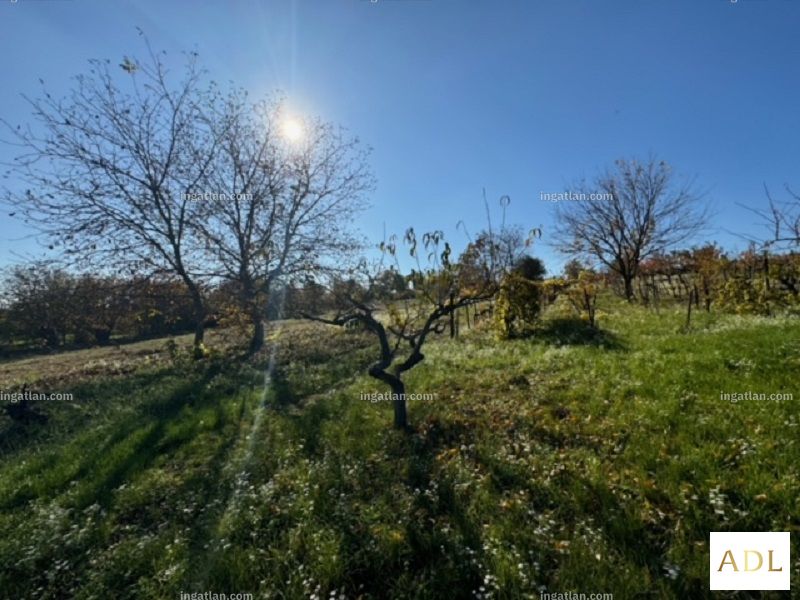 Foto auflisten