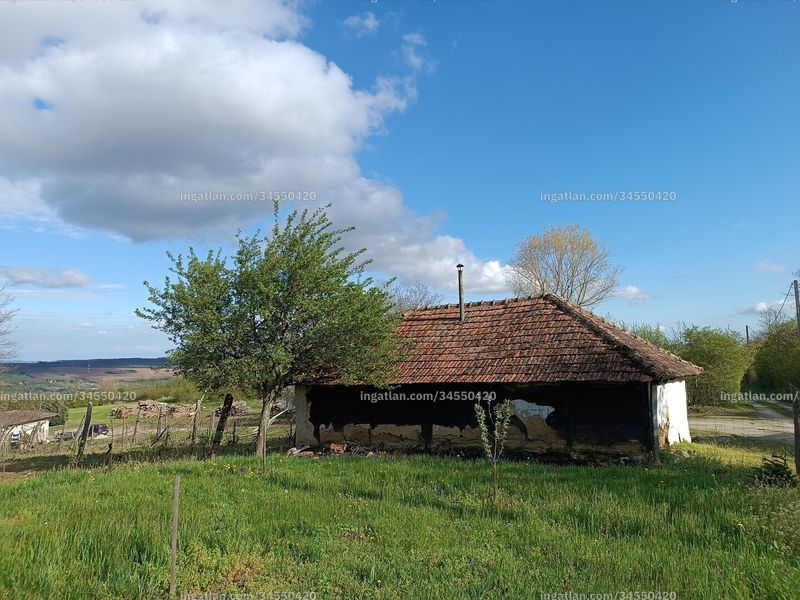 Kép az ingatlanról