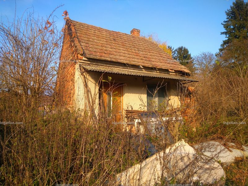 Foto auflisten