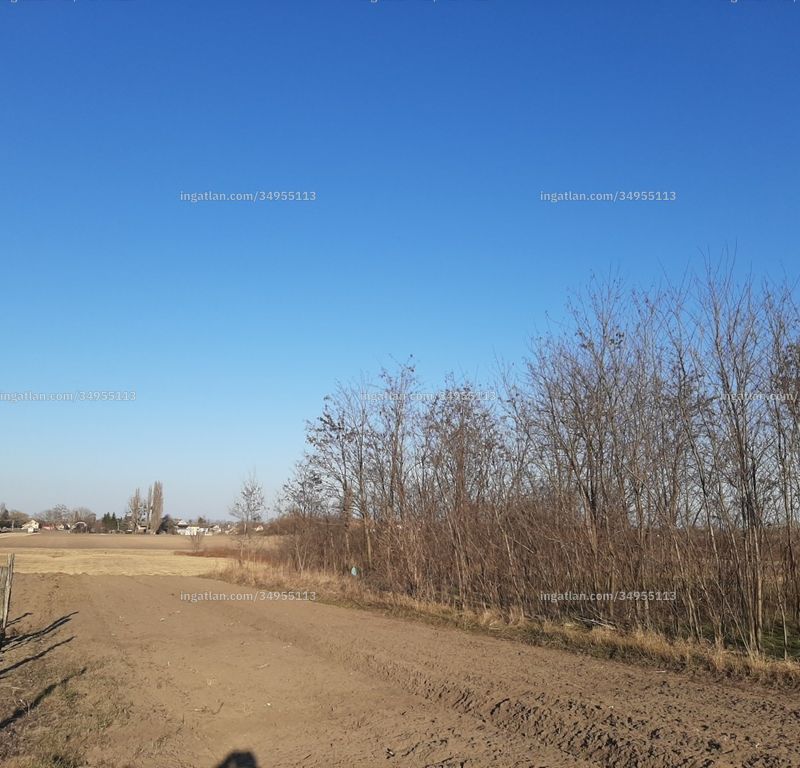 Foto auflisten