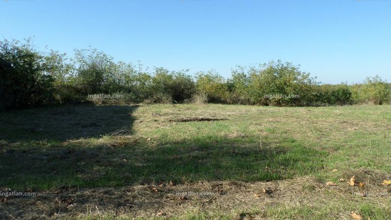 Foto auflisten