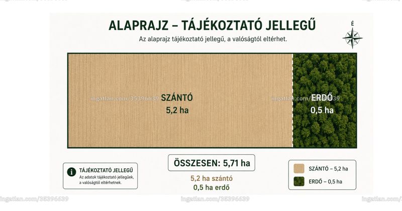 Kép az ingatlanról