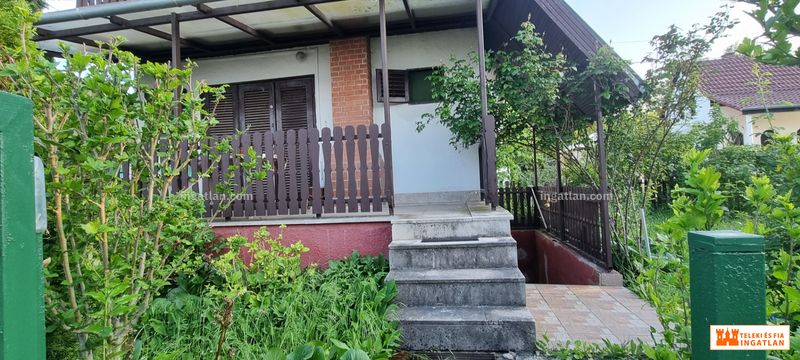 Gomba - 4. kép