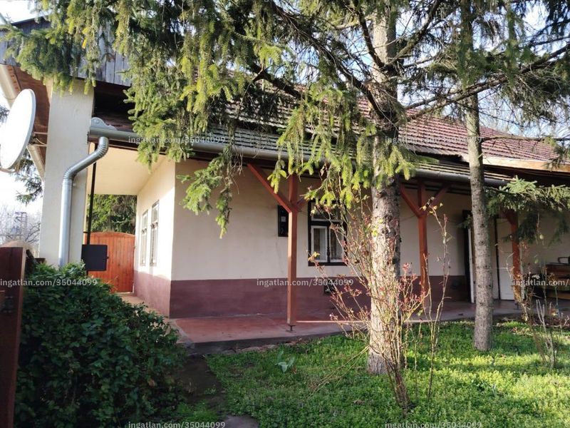 Ingatlan kép