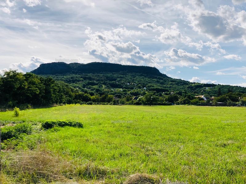 kilátás