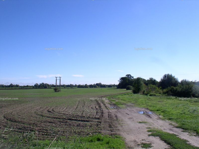 Foto auflisten