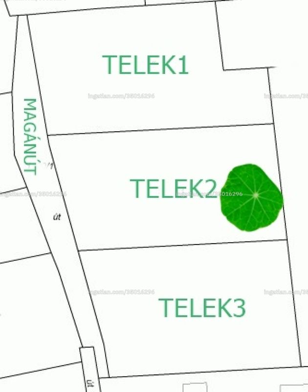 Kép az ingatlanról